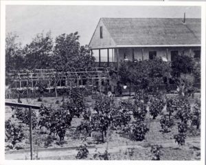 Bixby Garden in 1860s