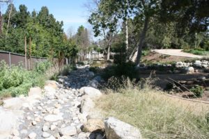 California Native Garden