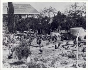 Bixby Garden, circa 1860s