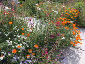 sustainable landscape