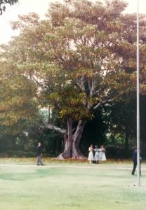 Kirsten Dominguez was married at Rancho Los Cerritos 30 years ago today under the Moreton Bay Fig, which also has grown a lot in 30 years.